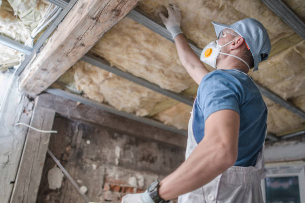 Best Insulation Maintenance and Repair in Thompson, ND